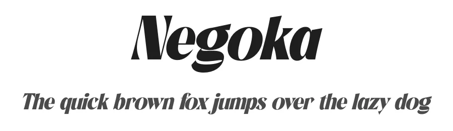 Negoka by Storytype Studio — Serif Font