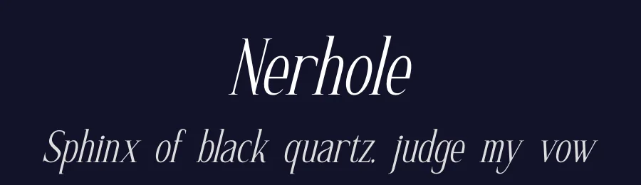 Nerhole by Letterena Studios — Serif Font — thumbnail 2