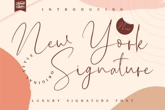 New York Signature Font by Letterena Studios — Script Handwritten Font