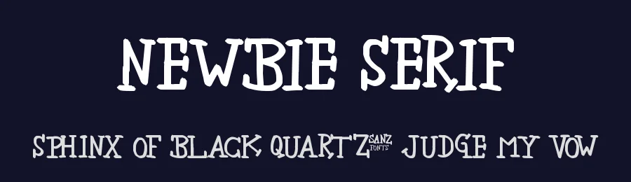 Newbie Serif by 'Sanz Font — Decorative Font — thumbnail 2