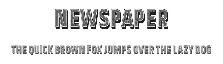 Newspaper