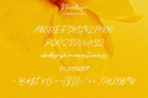 Nicestrips Font by Maulana Creative — Script Handwritten Font — thumbnail 8