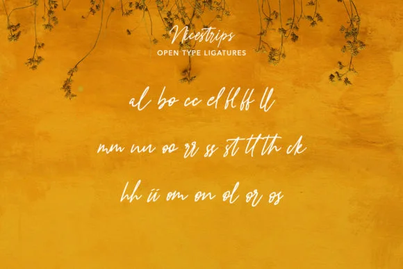 Nicestrips Font by Maulana Creative — Script Handwritten Font — thumbnail 9