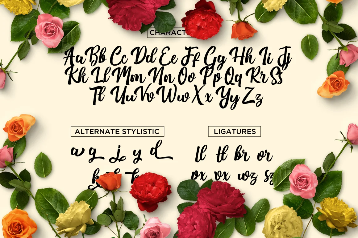 Nichole Script Font by Debut Studio — Script Handwritten Font — thumbnail 5