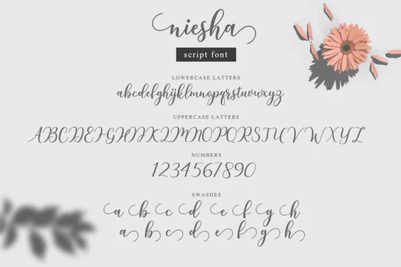 Niesha Font by Amarlettering — Script Handwritten Font — thumbnail 5