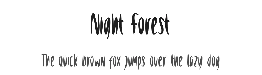 Night Forest