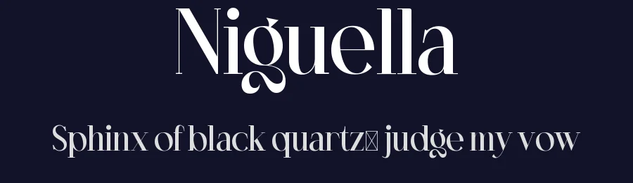 Niguella by Portograph Studio — Serif Font — thumbnail 2