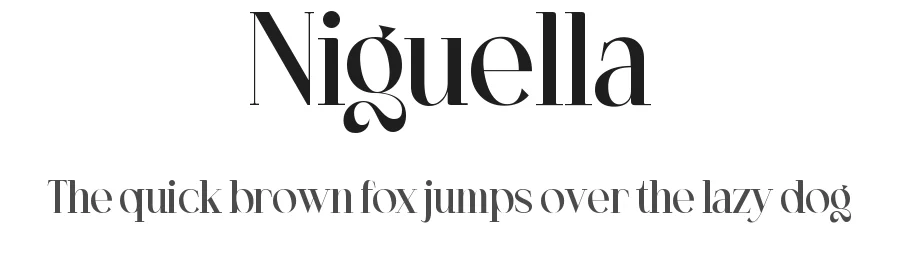 Niguella by Portograph Studio — Serif Font