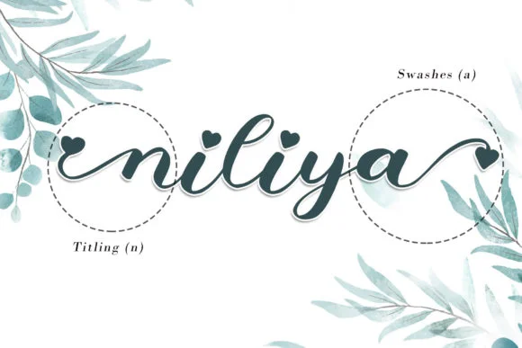 Niliya Font by AEN Creative Studio — Script Handwritten Font — thumbnail 8