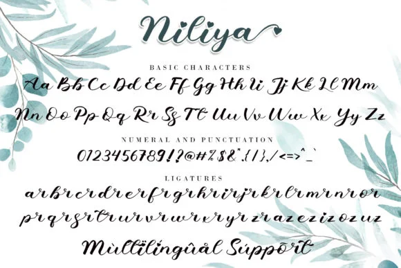 Niliya Font by AEN Creative Studio — Script Handwritten Font — thumbnail 9