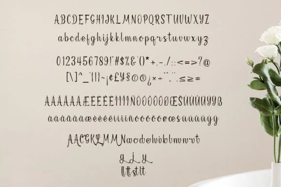 Nillya Font by Mytype Studio — Script Handwritten Font — thumbnail 8