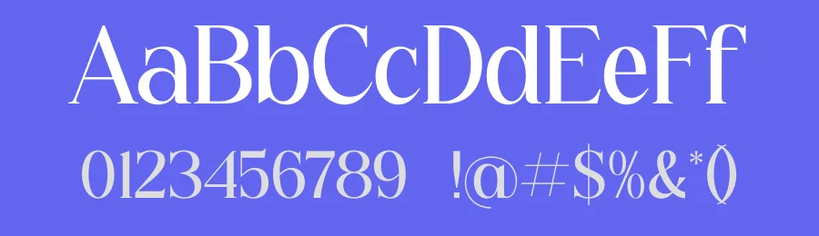 Noctado by Storytype Studio — Serif Font — thumbnail 3