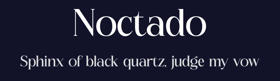 Noctado by Storytype Studio — Serif Font — thumbnail 2