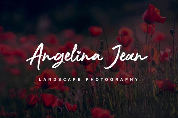 Nocturnal Script Font by MLKWSN studio — Script Handwritten Font — thumbnail 2
