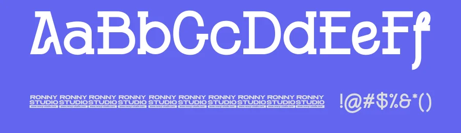 Nokwy by Ronny Studio — Decorative Font — thumbnail 3
