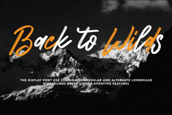 Nomadlines Font by Maulana Creative — Script Handwritten Font — thumbnail 5