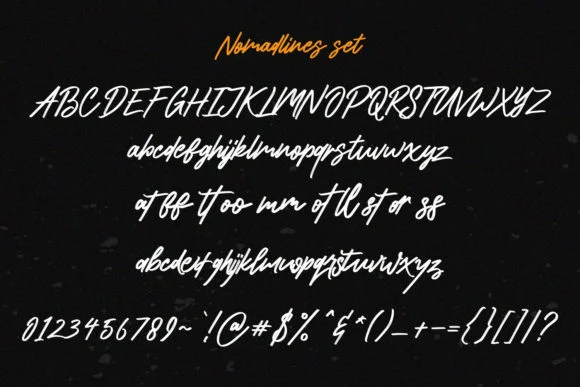 Nomadlines Font by Maulana Creative — Script Handwritten Font — thumbnail 8
