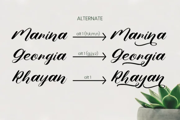 Nona Diana Font by attypestudio — Script Handwritten Font — thumbnail 9