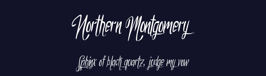 Northern Montgomery by Xerographer Fonts — Script Handwritten Font — thumbnail 2