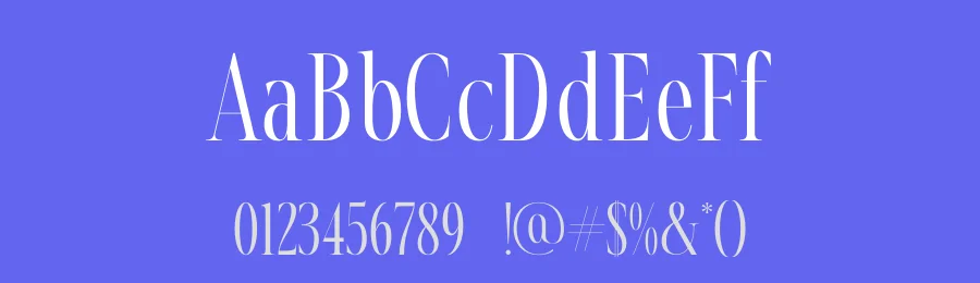 Nortine by Storytype Studio — Serif Font — thumbnail 3