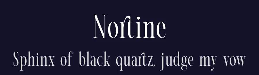 Nortine by Storytype Studio — Serif Font — thumbnail 2