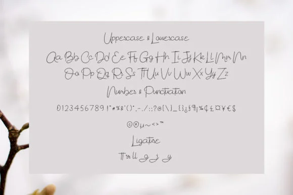Nostalgia Font by Creassion Studio by Creassion Studio — Script Handwritten Font — thumbnail 5