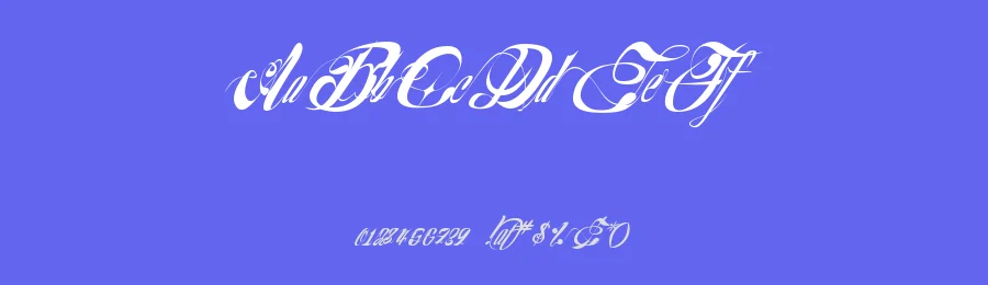 NuevoYork by Xerographer Fonts — Script Handwritten Font — thumbnail 3