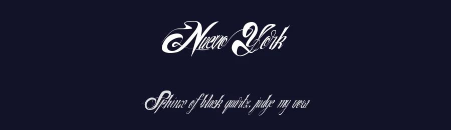 NuevoYork by Xerographer Fonts — Script Handwritten Font — thumbnail 2