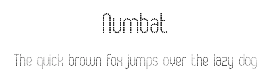 Numbat