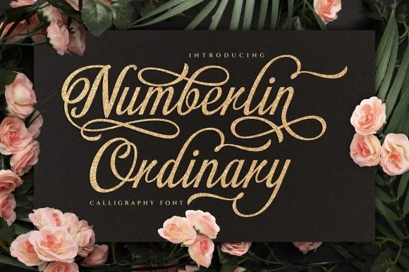 Numberlin Ordinary Font by Graphicxell — Script Handwritten Font