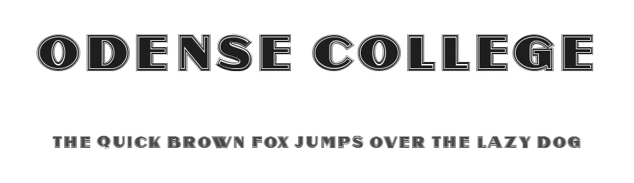 Odense College by Vladimir Nikolic — Sans Serif Font