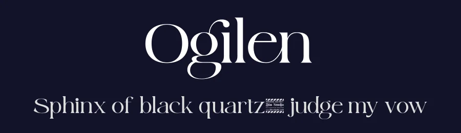 Ogilen by Din Studio — Serif Font — thumbnail 2