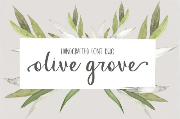 Olive Grove Font by sunday nomad — Script Handwritten Font