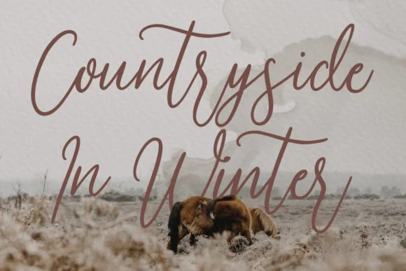 Oliviars Font by Maulana Creative — Script Handwritten Font — thumbnail 3