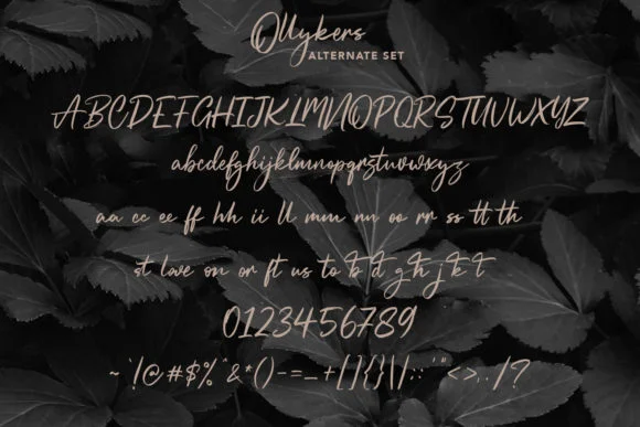 Ollykers Font by Maulana Creative — Script Handwritten Font — thumbnail 8
