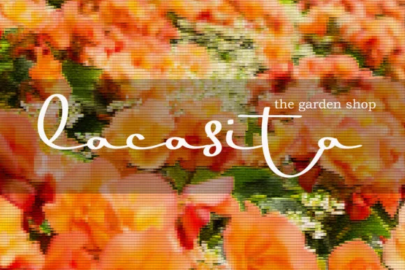 Orange Pumpkin Font by erlosDESIGN — Script Handwritten Font — thumbnail 8