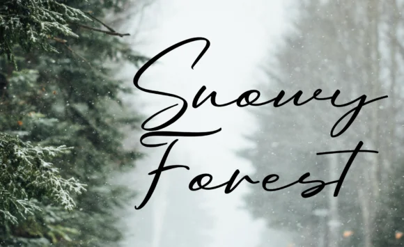 Oriflame Script Font by 50Fox — Script Handwritten Font — thumbnail 9