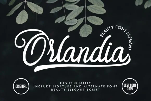 Orlandia Font by Vunira โ Script Handwritten Font