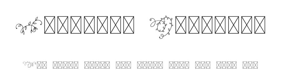 Ornament Handrawn by Mariyana โ Dingbats Font