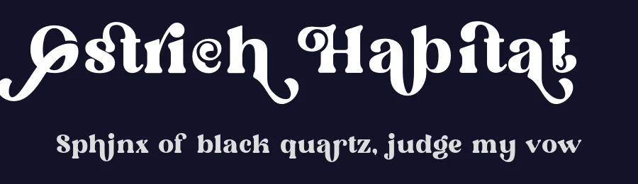 Ostrich Habitat by 177Studio — Serif Font — thumbnail 2