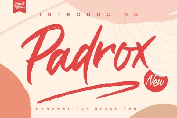 Padrox Font by Letterena Studios — Script Handwritten Font