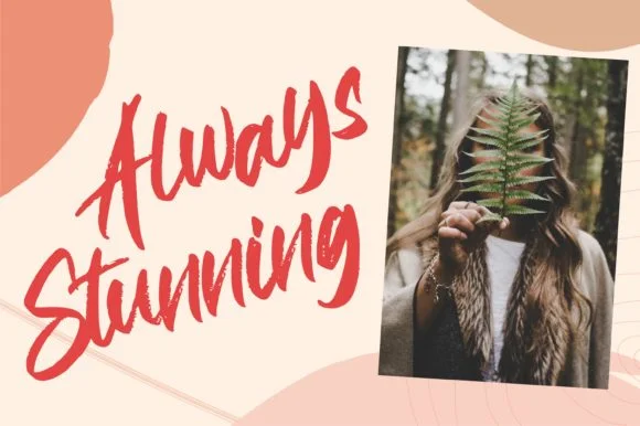 Padrox Font by Letterena Studios — Script Handwritten Font — thumbnail 4
