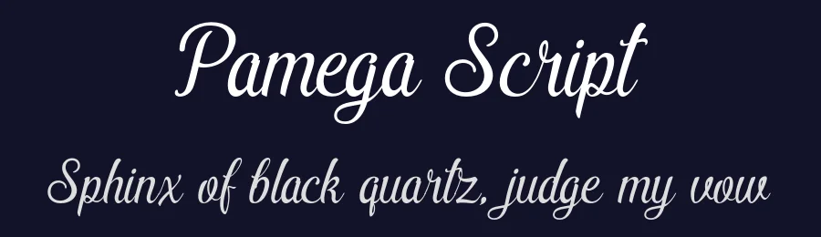 Pamega Script by Aktab Studio — Script Handwritten Font — thumbnail 2