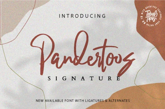 Pandertoos Font by Tebaltipis.std — Script Handwritten Font