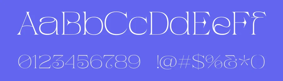 Pandora Emotion by Letterhend Studio — Serif Font — thumbnail 3