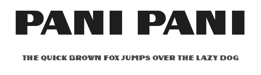 Pani Pani by Vladimir Nikolic — Sans Serif Font