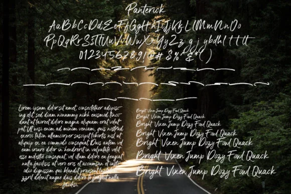 Panterick Font by Debut Studio — Script Handwritten Font — thumbnail 8