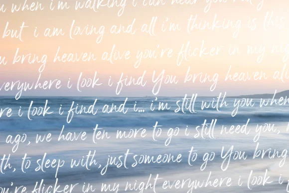 Panterick Font by Debut Studio — Script Handwritten Font — thumbnail 9