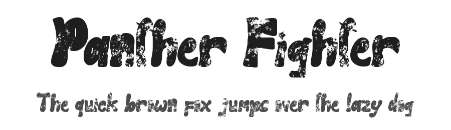 Panther Fighter