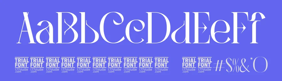 Paranoid Character by 177Studio — Serif Font — thumbnail 3
